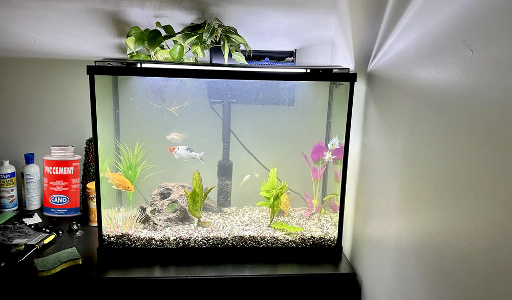 Is PVC Glue Safe for Aquariums